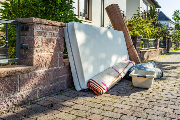 Best Yard Cleanup Services  in Lenoir, NC